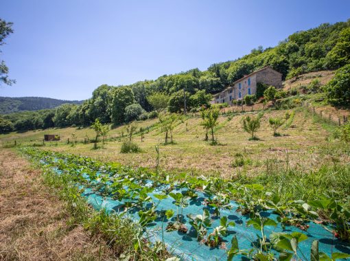Nabat le Haut - Fruits et légumes - Juin-juillet 2025 - Sedat Yagiz- HD-18